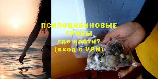 бошки Алзамай