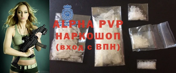 шишки Гусиноозёрск
