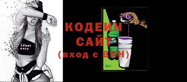 индика Каменск-Шахтинский