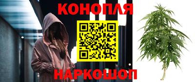 спиды Бийск