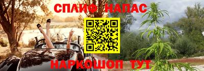 спиды Бийск