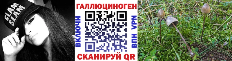 где можно купить наркотик  это состав  omg как зайти  Псилоцибиновые грибы MAGIC MUSHROOMS  Березники 
