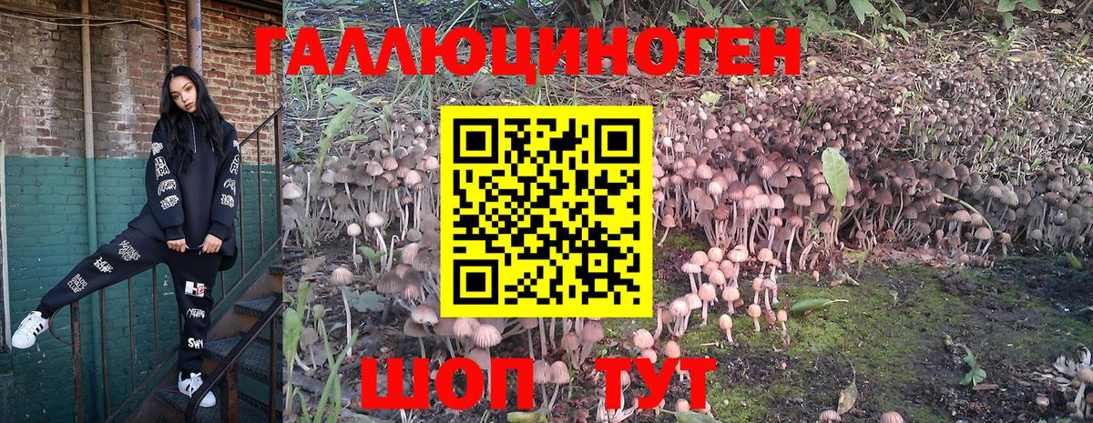 Березники  Галлюциногенные грибы мухоморы  Галлюциногенные грибы Psilocybe  Вход с VPN 
