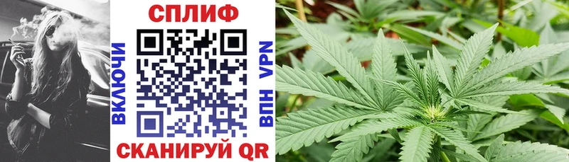 где продают наркотики  Березники  Бошки Шишки LSD WEED 